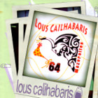 CD 2009